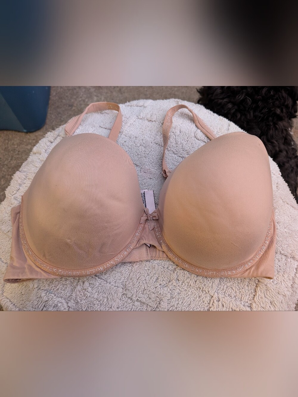 Victoria's Secret Light Nude Padded T-Shirt Bra Size 38DD